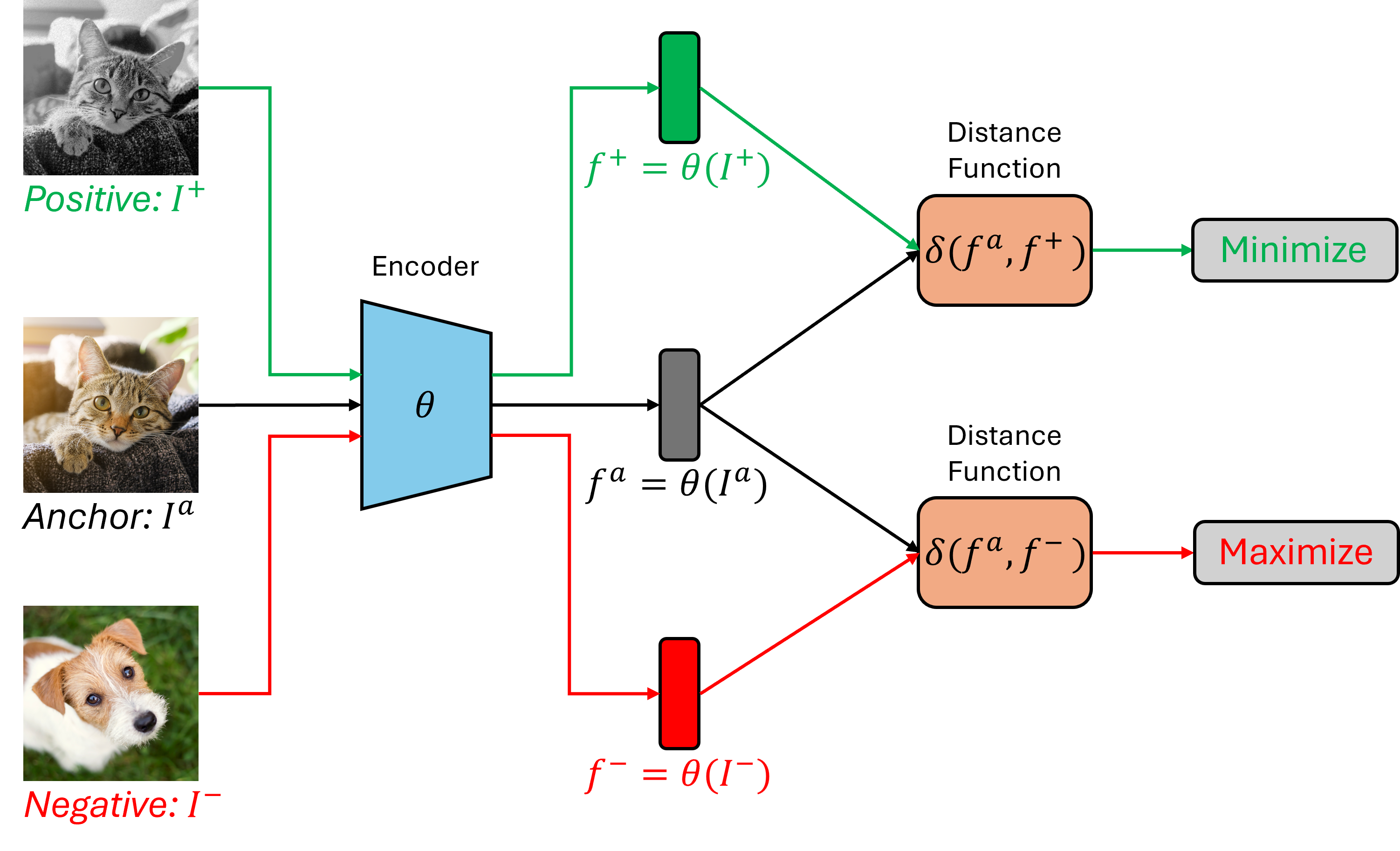 A high-level illustration of the contrastive learning framework, where an encoder is trained to minimize and maximize the distance function between an anchor and its contrastive positive and negative samples, respectively. Here, the positive sample is a transformation of the original image.
